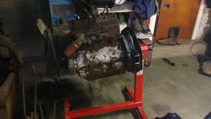 IMG_20180101_182155.jpg