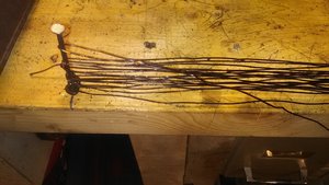 IMG_20180318_113654.jpg
