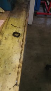 IMG_20180318_113013.jpg