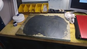 IMG_20180319_180818.jpg