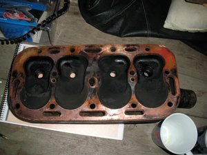 RIMG0221.JPG